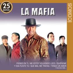 Portada de Íconos 25 Éxitos
