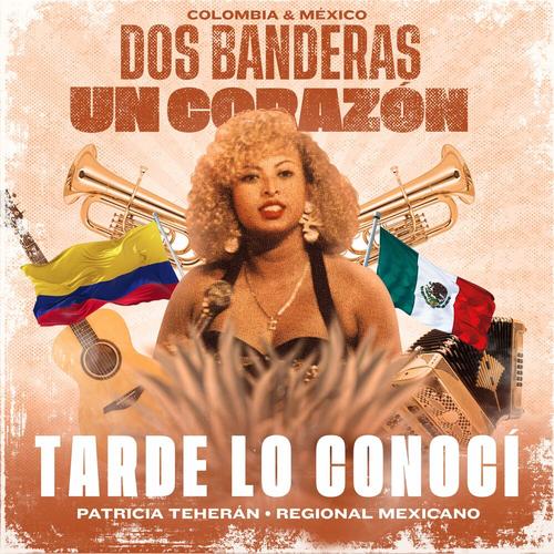 Portada de Tarde Lo Conocí (Regional Mexicano)