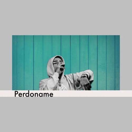 Portada de Perdoname