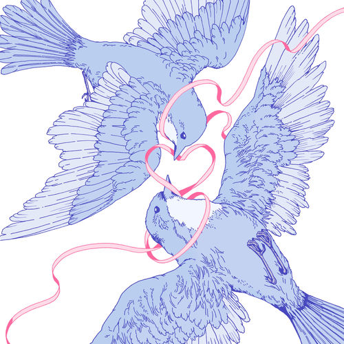 Portada de Bluebird