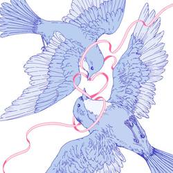Portada de Bluebird