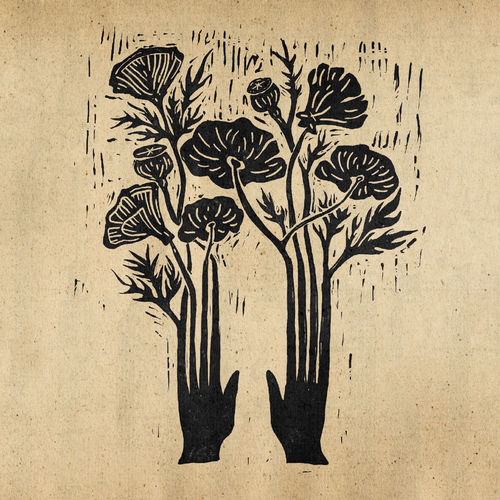 Portada de Flowers