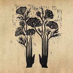 Portada de Flowers
