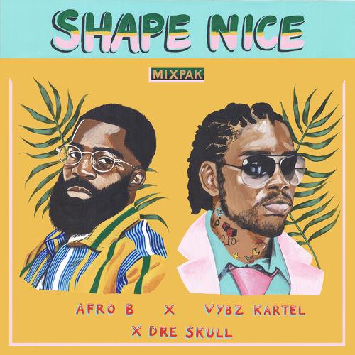 Portada de Shape Nice