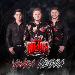 Portada de Viuda Negra