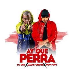 Portada de Ay Que Perra