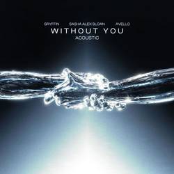 Portada de Without You (Acoustic)