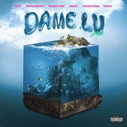 Portada de Dame Lu (Remix)