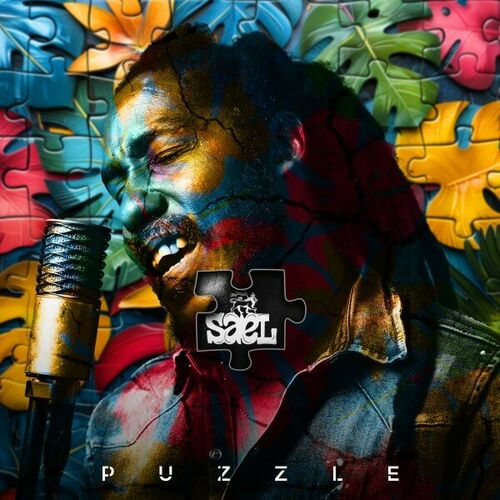 Portada de Puzzle