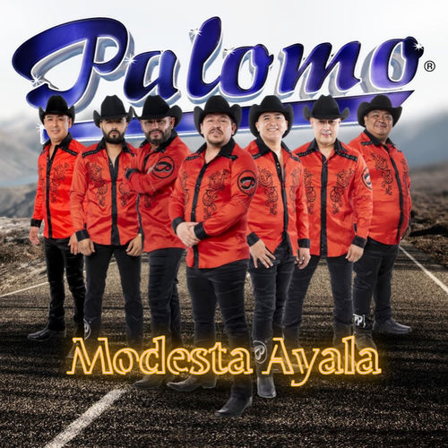 Portada de Modesta Ayala