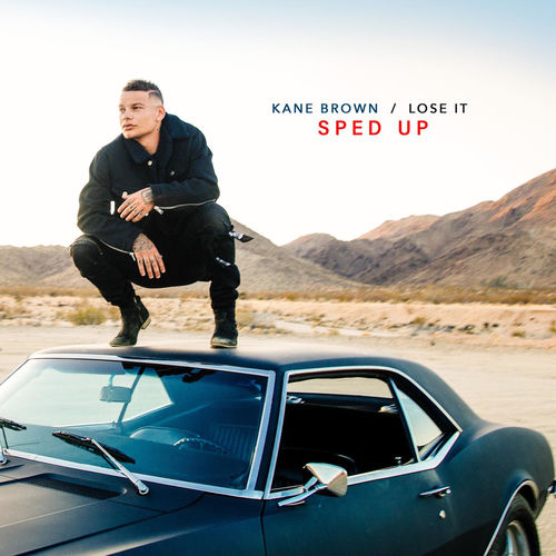 Portada de Lose It - Sped up