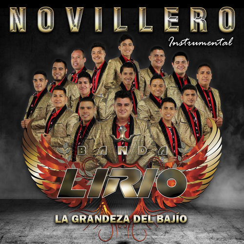 Portada de Novillero