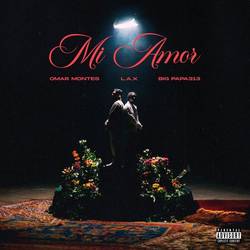 Portada de MI AMOR