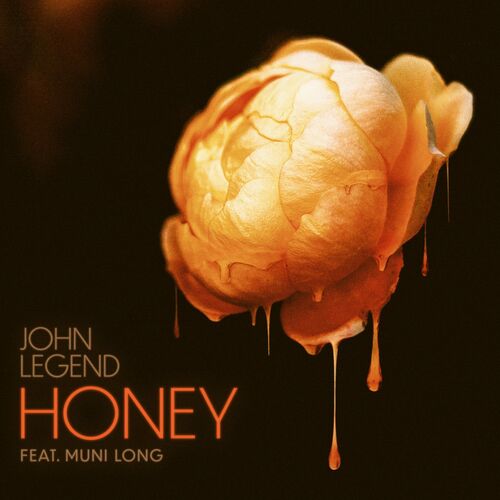 Portada de Honey