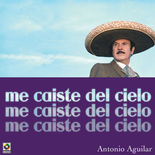 Portada de Me Caiste del Cielo