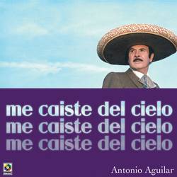 Portada de Me Caiste del Cielo