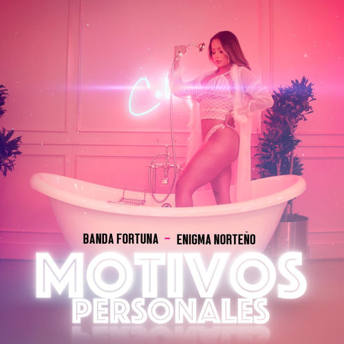 Portada de Motivos Personales