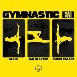 Portada de Gymnastic (Remix)