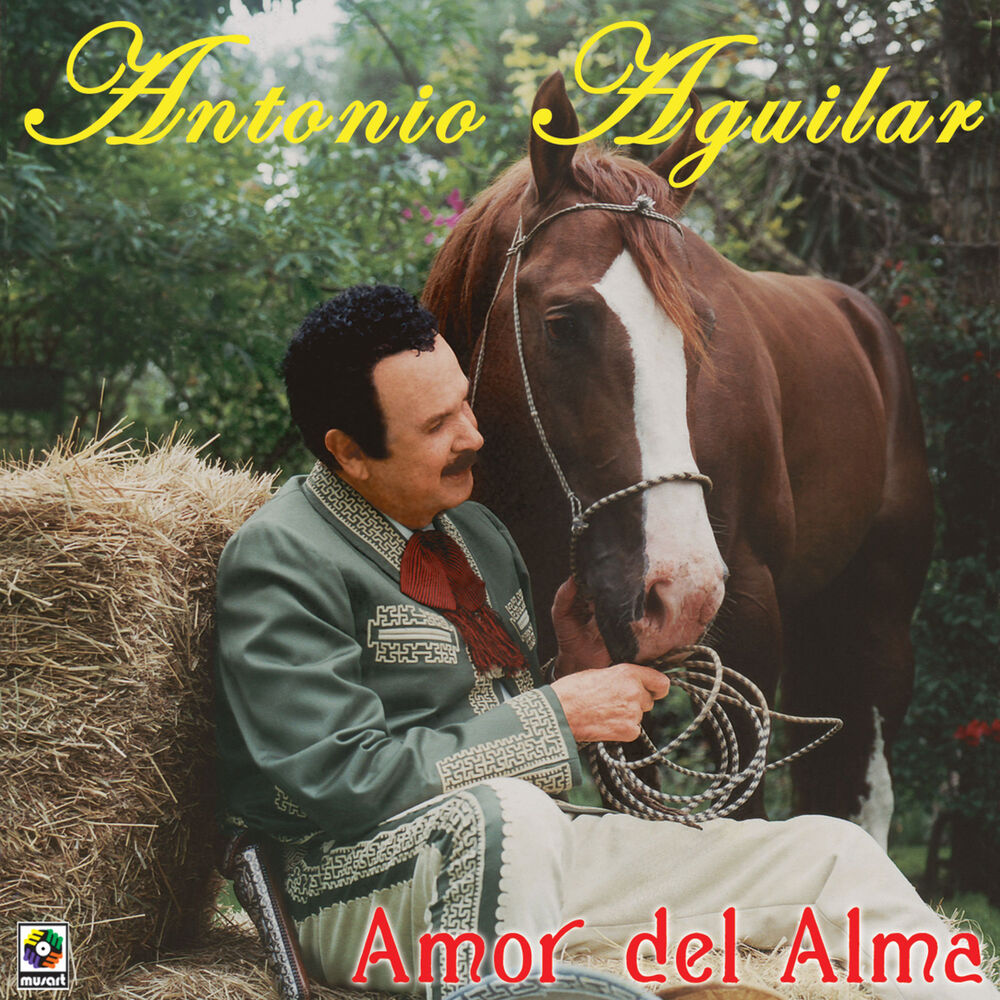 Portada de La Paloma Triste