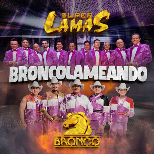 Portada de BRONCOLAMEANDO