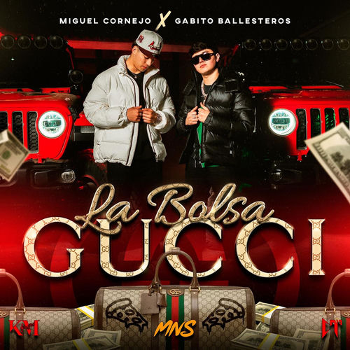 Portada de La Bolsa Gucci