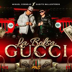 Portada de La Bolsa Gucci