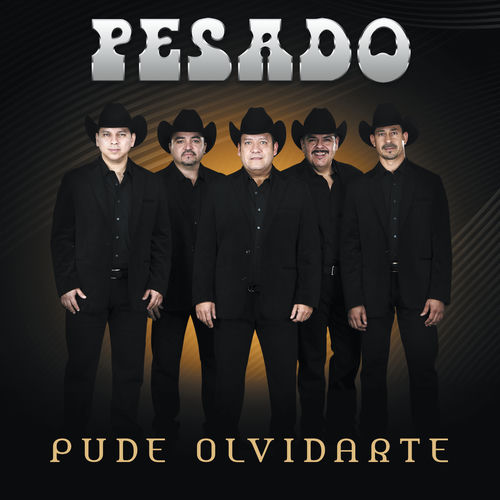 Portada de Pude Olvidarte