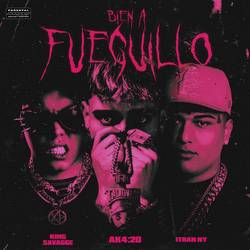 Portada de BIEN A FUEGUILLO
