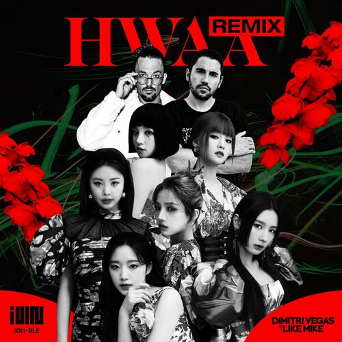 Portada de HWAA (Dimitri Vegas & Like Mike Remix)