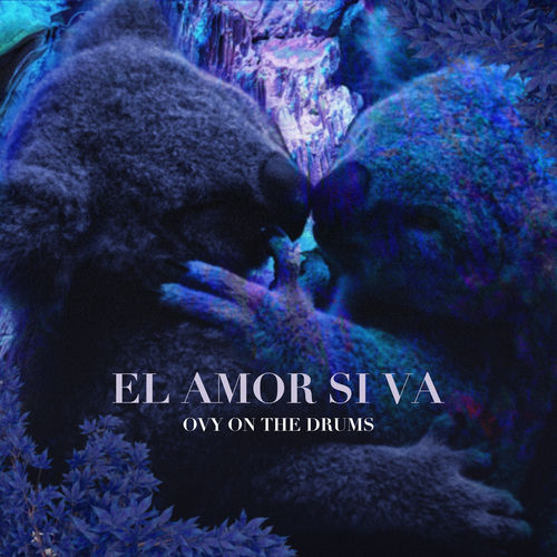 Portada de El Amor Si Va