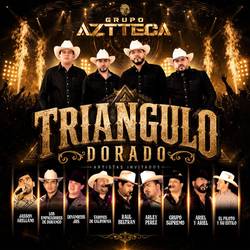Portada de EL TRIANGULO DORADO