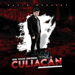 Portada de Desde Culiacan (En Vivo)