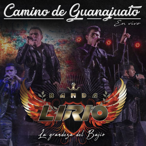 Portada de Camino de Guanajuato (En Vivo)