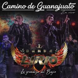 Portada de Camino de Guanajuato (En Vivo)