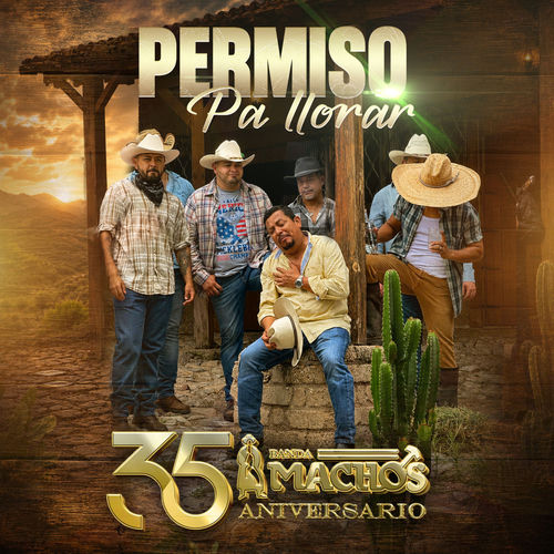 Portada de Permiso Pa' Llorar