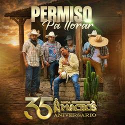 Portada de Permiso Pa' Llorar