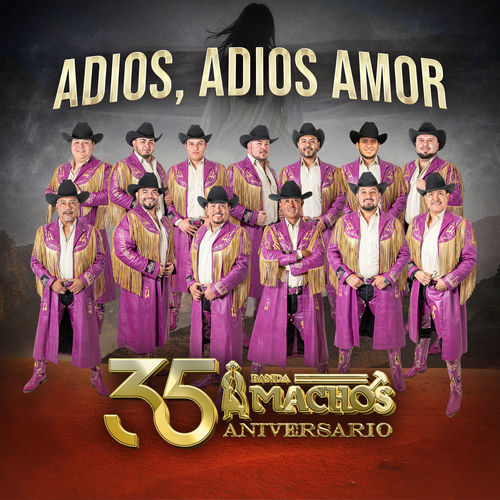 Portada de Adiós, Adiós Amor