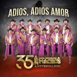 Portada de Adiós, Adiós Amor