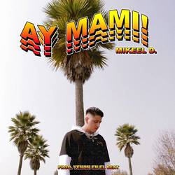 Portada de Ay Mami!