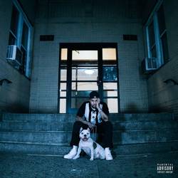 Portada de COLD AT NIGHT