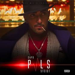 Portada de Puls steigt