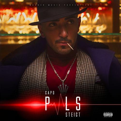 Portada de Puls steigt