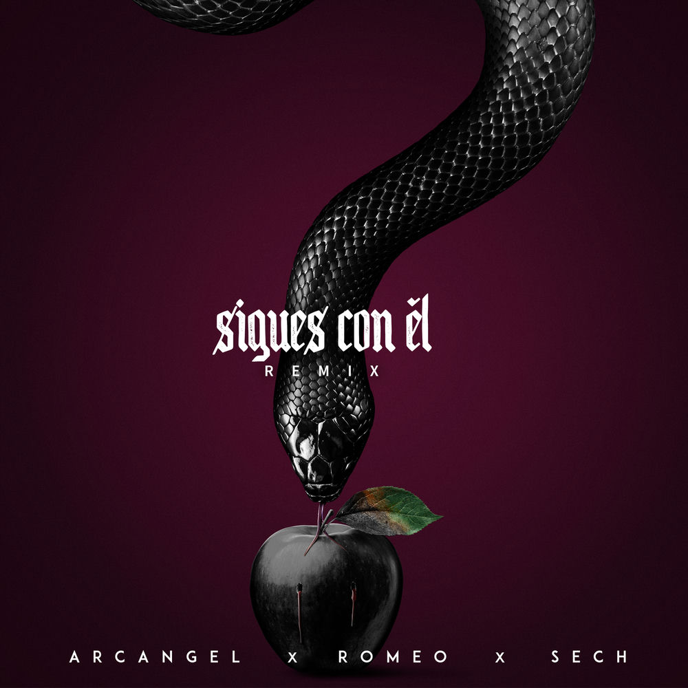 Portada de Sigues Con El (Remix)