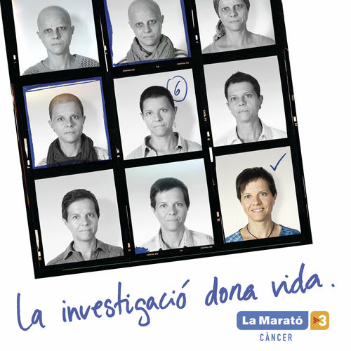 Portada de El teu refugi