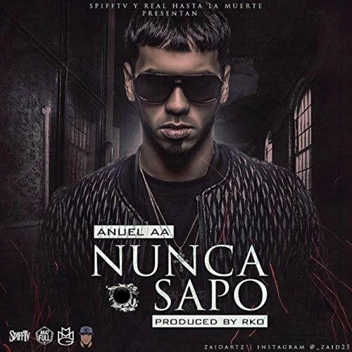 Portada de Nunca Sapo