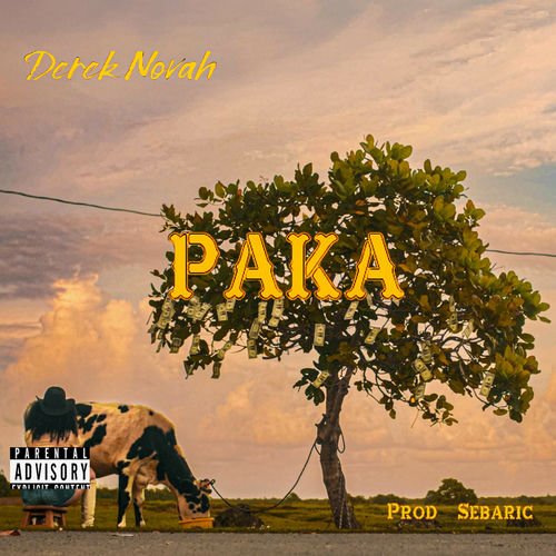 Portada de Paka