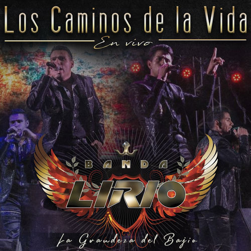 Portada de Los Caminos de la Vida (En Vivo)