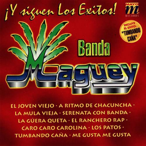 Portada de Y Siguen Los Exitos