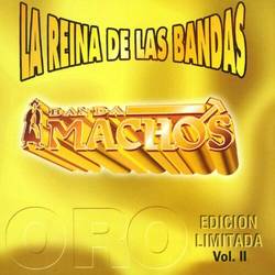 Portada de La reina de las bandas Vol. II