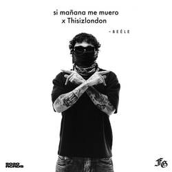 Portada de si mañana me muero